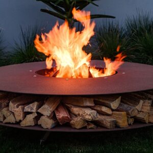 Discus Wood-Burning Fire Pit